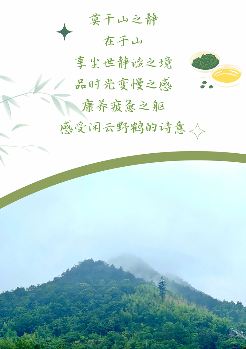 心心念廿 相伴尊龙时凯 | 与德清相约 贺廿载诞辰